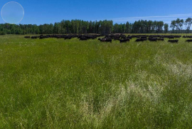 The Ranch on 16 For Sale - AB