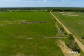 Gibbons Gambit For Sale - AB