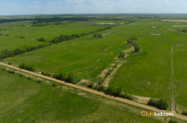 Gibbons Gambit For Sale - AB