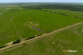 Gibbons Gambit For Sale - AB