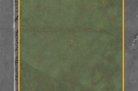 Gibbons Gambit For Sale - AB