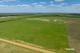 Gibbons Gambit For Sale - AB