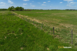 Gibbons Gambit For Sale - AB