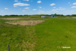 Gibbons Gambit For Sale - AB