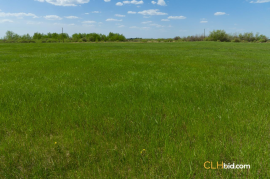 Gibbons Gambit For Sale - AB