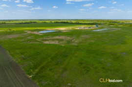 Gibbons Gambit For Sale - AB