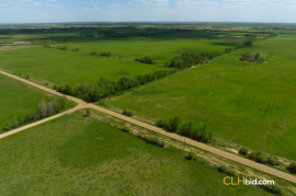 Gibbons Gambit For Sale - AB