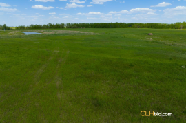 Gibbons Gambit For Sale - AB