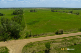 Gibbons Gambit For Sale - AB