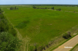 Gibbons Gambit For Sale - AB