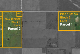 Gibbons Gambit For Sale - AB