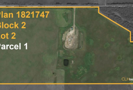 Gibbons Gambit For Sale - AB