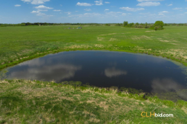 Gibbons Gambit For Sale - AB