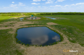 Gibbons Gambit For Sale - AB